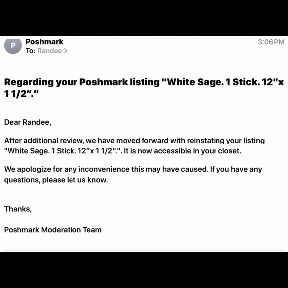 White Sage 8” 1 Stick Organic Smudge Stick - Picture 12 of 15